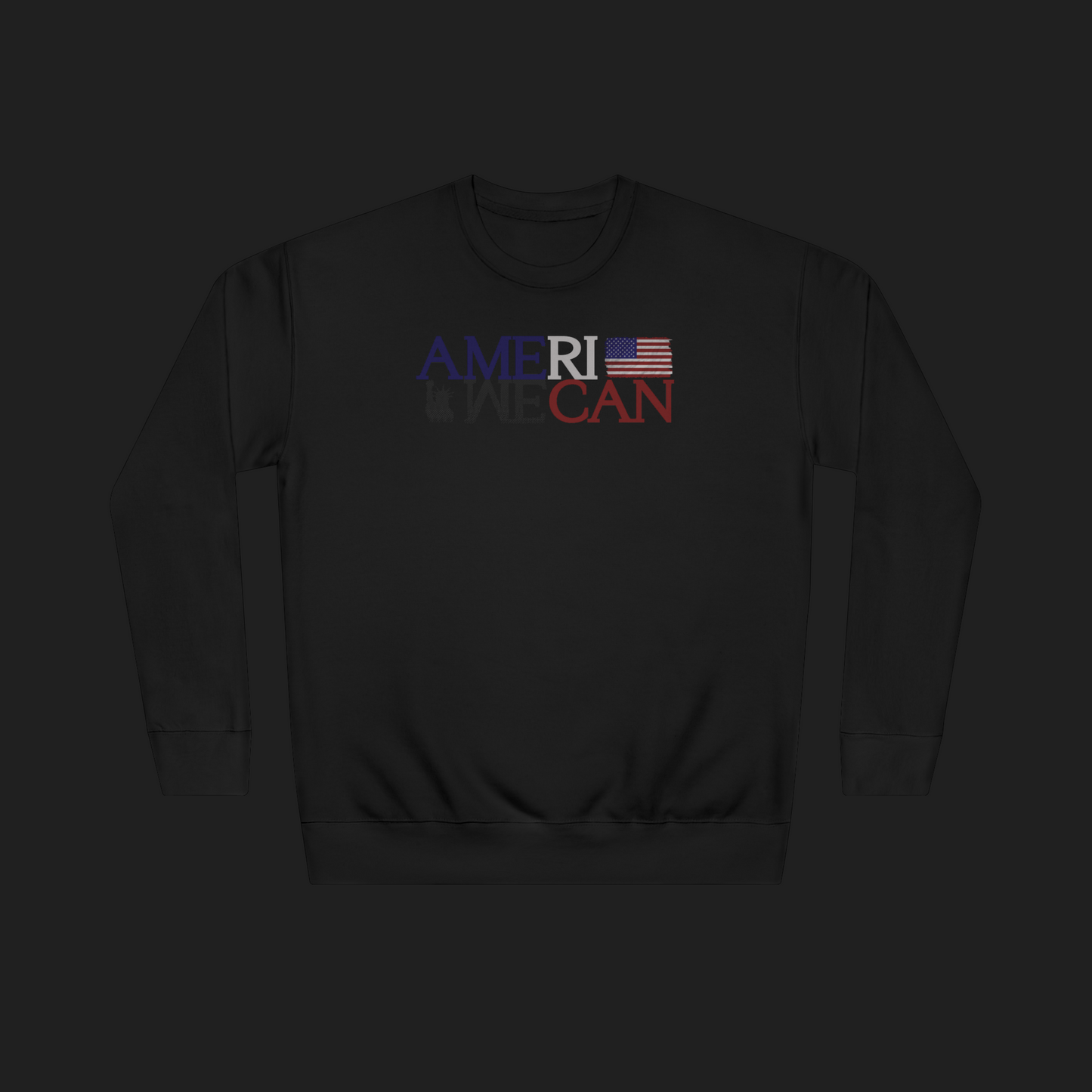 "WE CAN" (AMERICAN) SWEATER